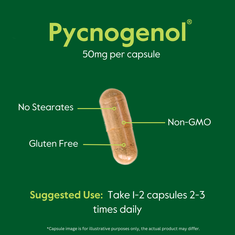Pycnogenol 50mg
