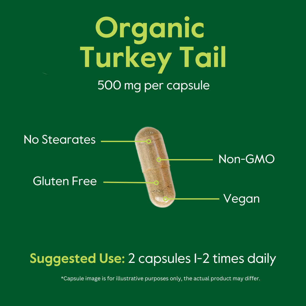 Turkey Tail (Organic) 500mg