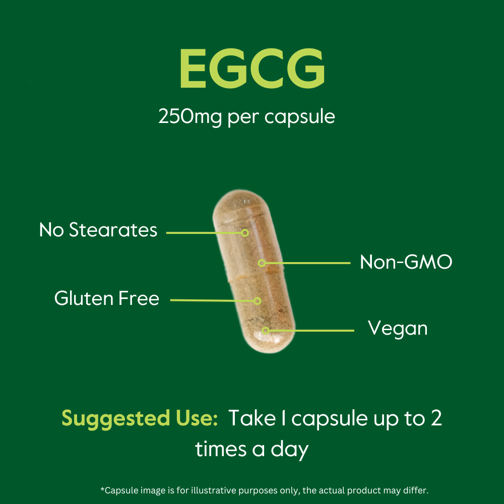 EGCG 250mg (from Green Tea Extract)