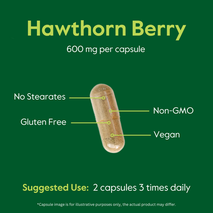 Hawthorn Berry 600mg